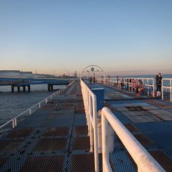 オリジナルメーカー海づり公園(市原市海づり施設) 釣果