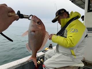 幸吉丸 釣果