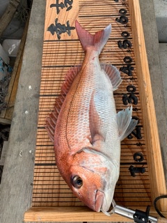 幸吉丸 釣果