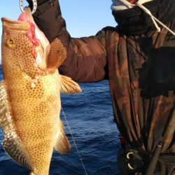 遊漁船 新鋭丸 釣果