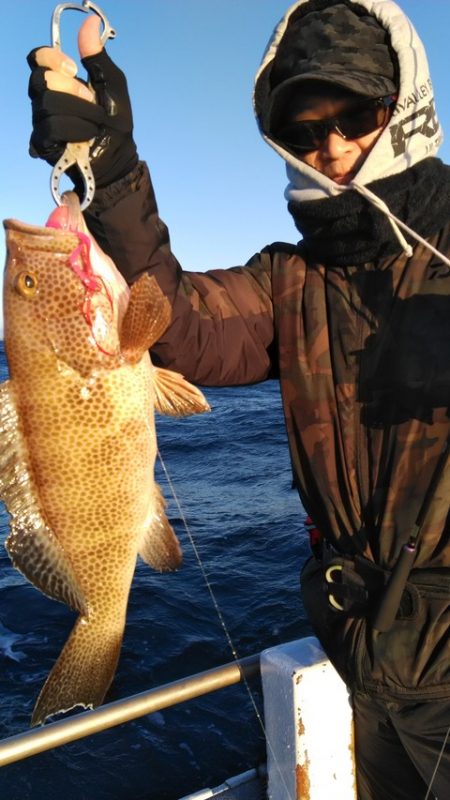 遊漁船 新鋭丸 釣果