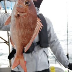遊漁船 ニライカナイ 釣果