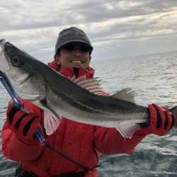 Rush(ラッシュ) 釣果