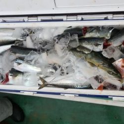 第二むつ漁丸 釣果