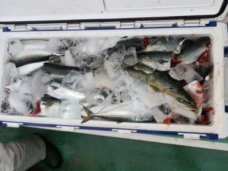 第二むつ漁丸 釣果