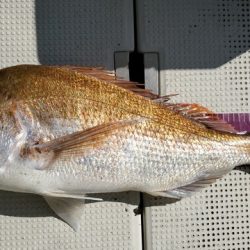 遊漁船　ニライカナイ 釣果