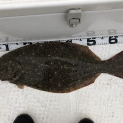 Magic（マジック） 釣果