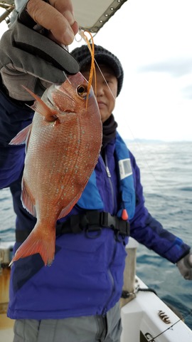 遊漁船　ニライカナイ 釣果