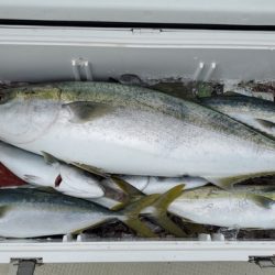 遊漁船 ニライカナイ 釣果