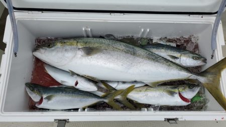 遊漁船 ニライカナイ 釣果