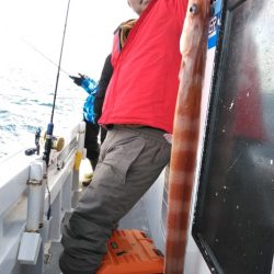 遊漁船 新鋭丸 釣果