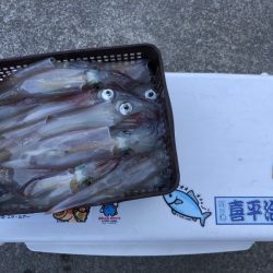 喜平治丸 釣果