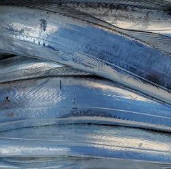 遊漁船 ニライカナイ 釣果