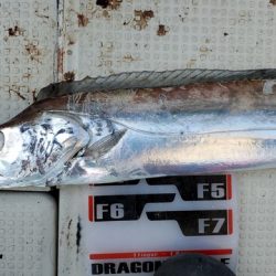 遊漁船 ニライカナイ 釣果