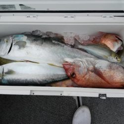 第二大福丸 釣果