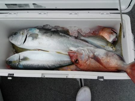 第二大福丸 釣果