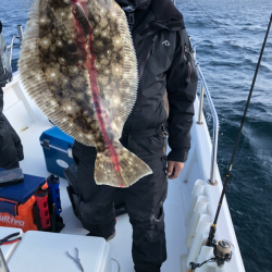 Magic（マジック） 釣果