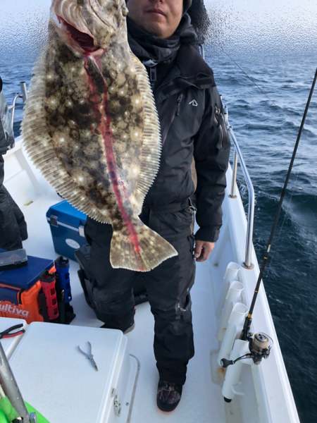 Magic（マジック） 釣果