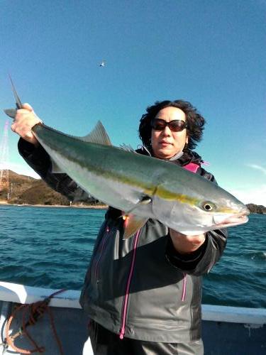 ファイヤードルフィン 釣果