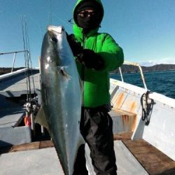 ファイヤードルフィン 釣果