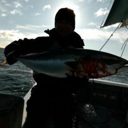 ファイヤードルフィン 釣果