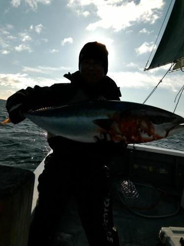 ファイヤードルフィン 釣果