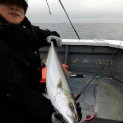 ファイヤードルフィン 釣果