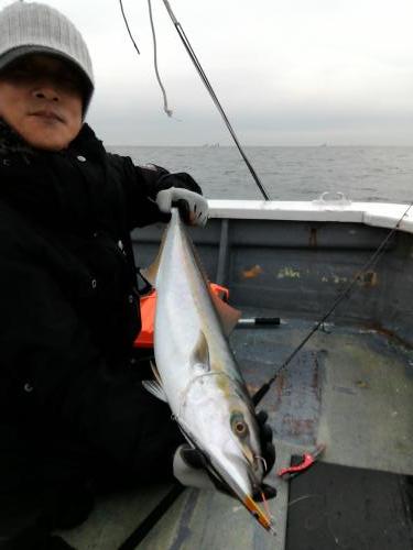 ファイヤードルフィン 釣果