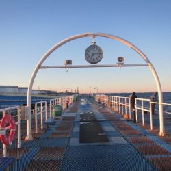 オリジナルメーカー海づり公園(市原市海づり施設) 釣果