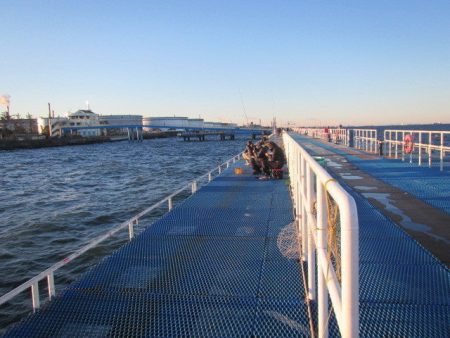 オリジナルメーカー海づり公園(市原市海づり…