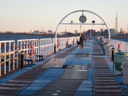 オリジナルメーカー海づり公園(市原市海づり施設) 釣果