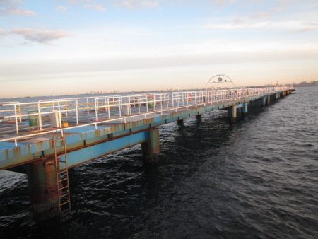 オリジナルメーカー海づり公園(市原市海づり施設) 釣果