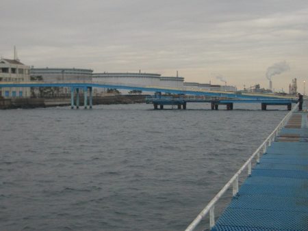 オリジナルメーカー海づり公園(市原市海づり施設) 釣果