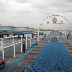 オリジナルメーカー海づり公園(市原市海づり施設) 釣果