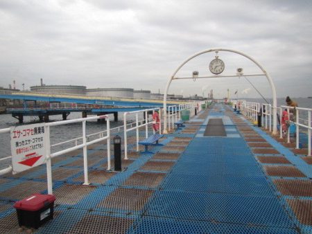 オリジナルメーカー海づり公園(市原市海づり施設) 釣果