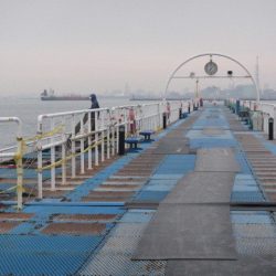 オリジナルメーカー海づり公園(市原市海づり施設) 釣果