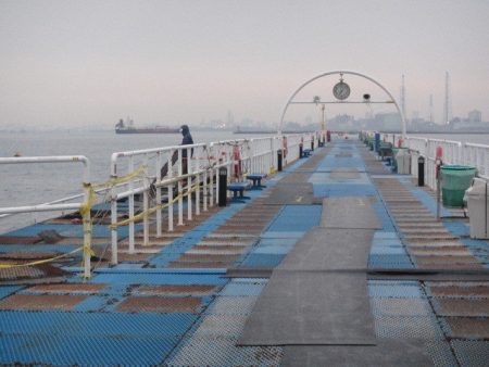 オリジナルメーカー海づり公園(市原市海づり施設) 釣果