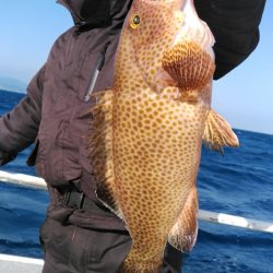 遊漁船 新鋭丸 釣果