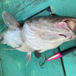 広進丸 釣果