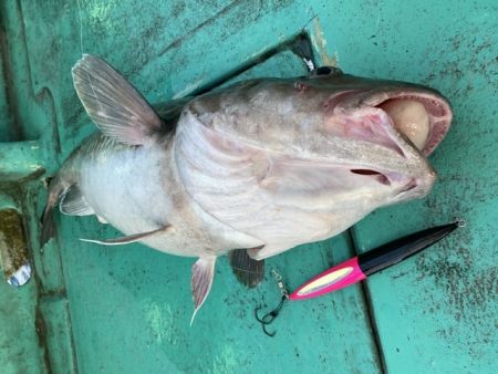 広進丸 釣果