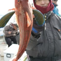 遊漁船　ニライカナイ 釣果