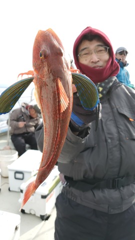 遊漁船　ニライカナイ 釣果