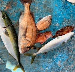 幸吉丸 釣果