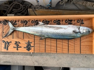 幸吉丸 釣果