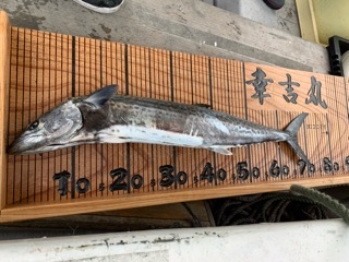 幸吉丸 釣果