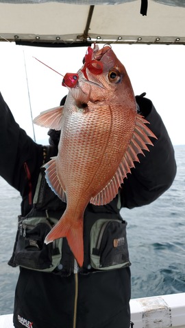 遊漁船　ニライカナイ 釣果