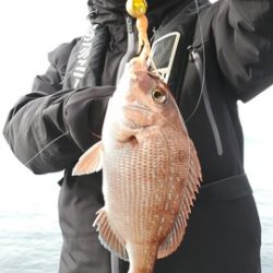 遊漁船　ニライカナイ 釣果