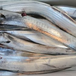 遊漁船 ニライカナイ 釣果