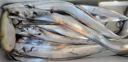 遊漁船 ニライカナイ 釣果