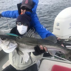 Rush(ラッシュ) 釣果